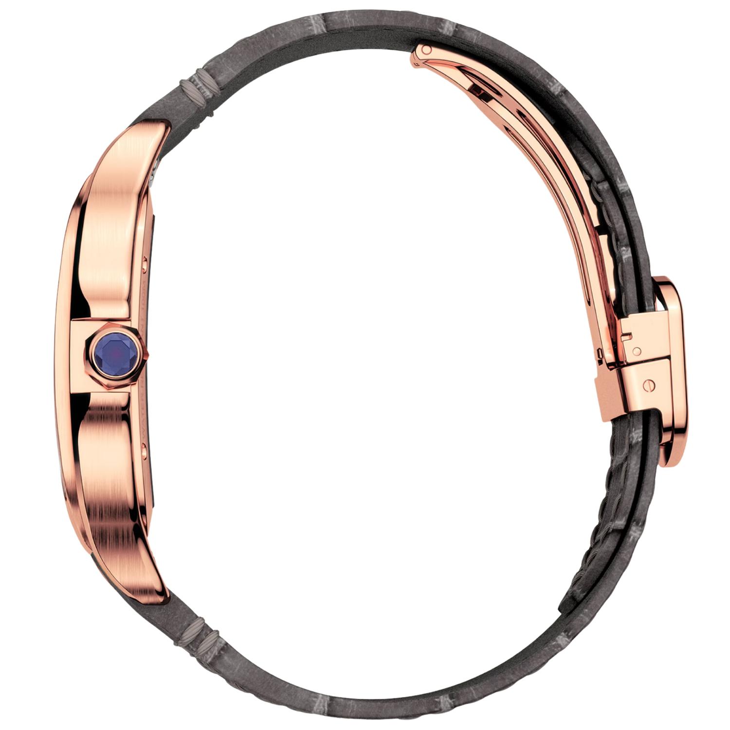 Santos de Cartier Skeleton
