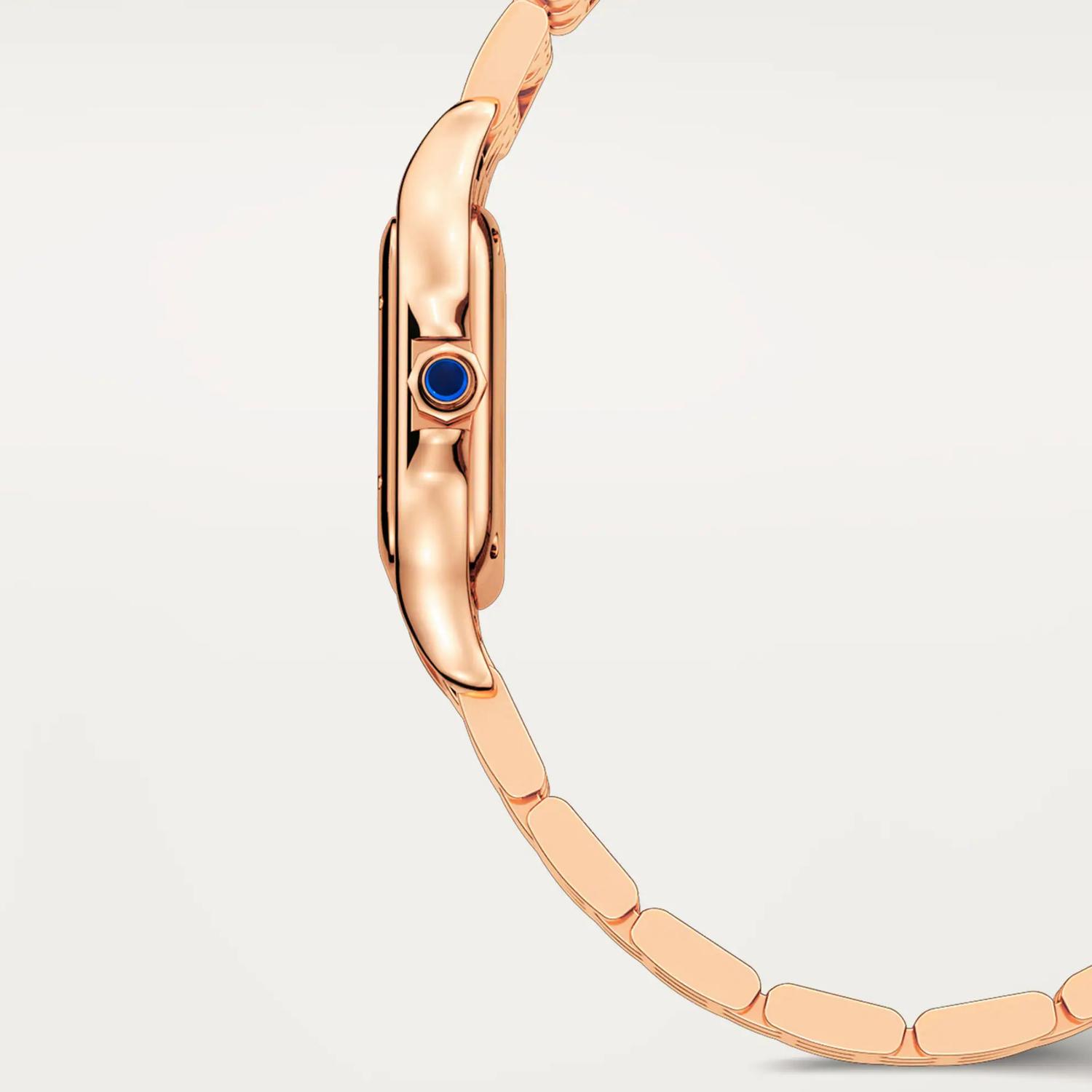 Panthère de Cartier