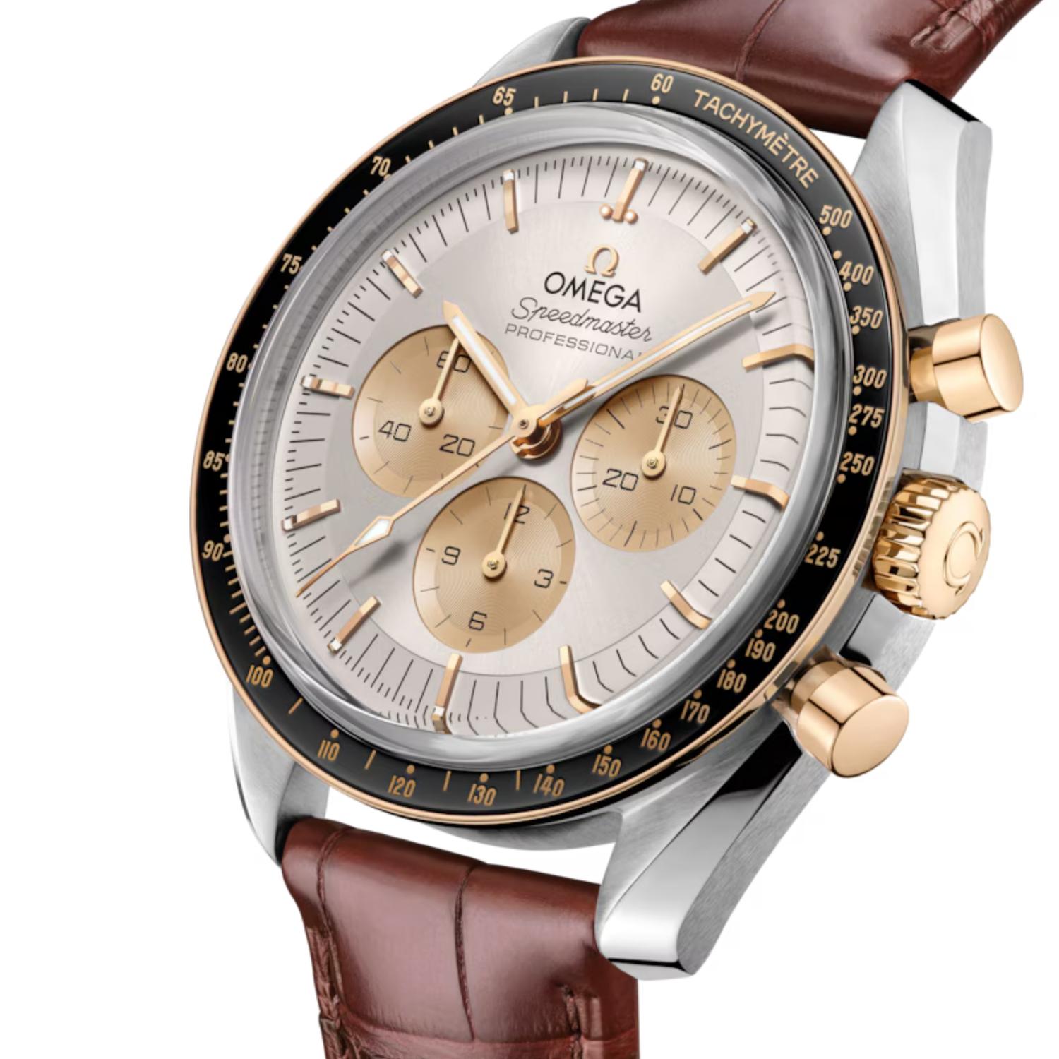 Speedmaster Moonwatch Professional