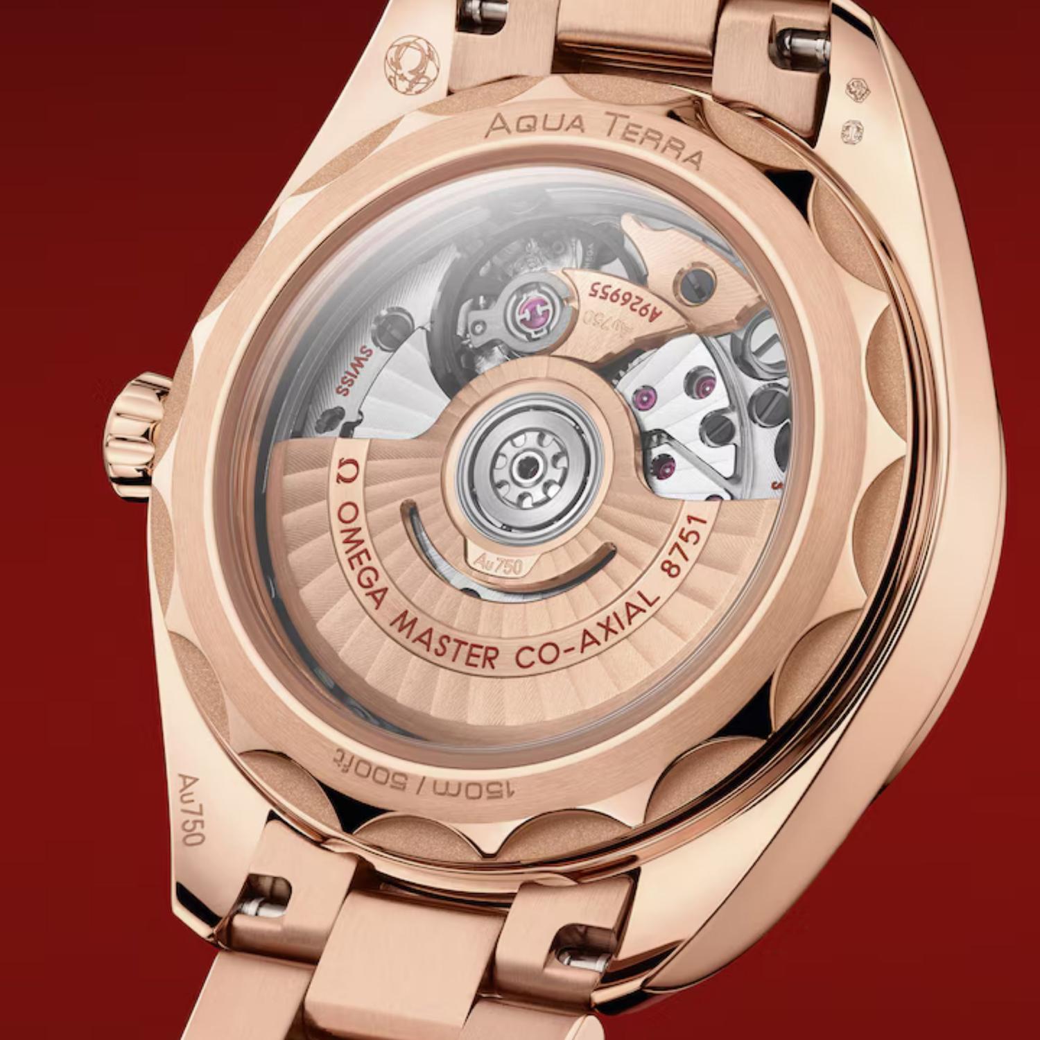 Seamaster Aqua Terra 150M