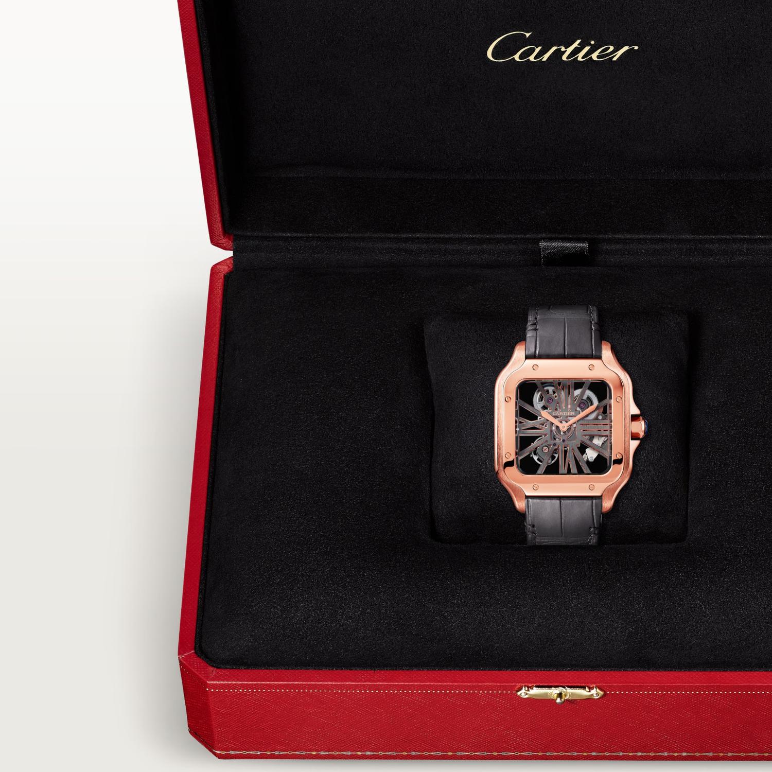 Santos de Cartier Skeleton