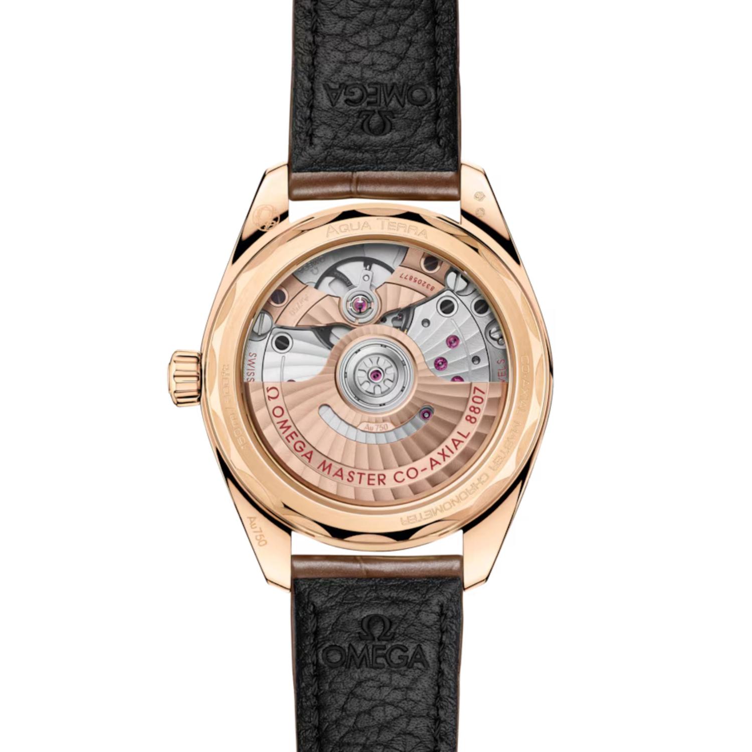 Seamaster Aqua Terra 150M