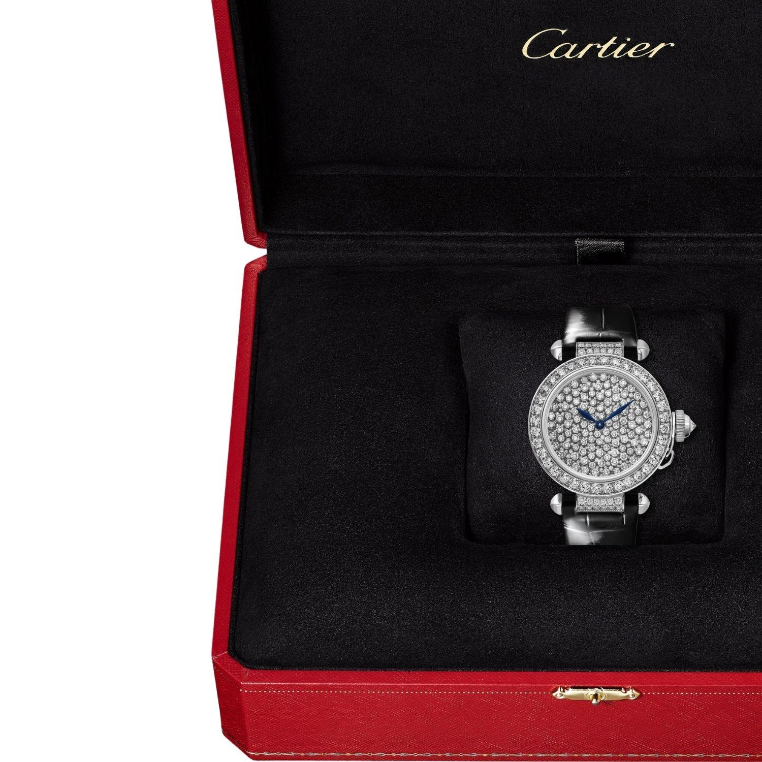 Pasha de Cartier