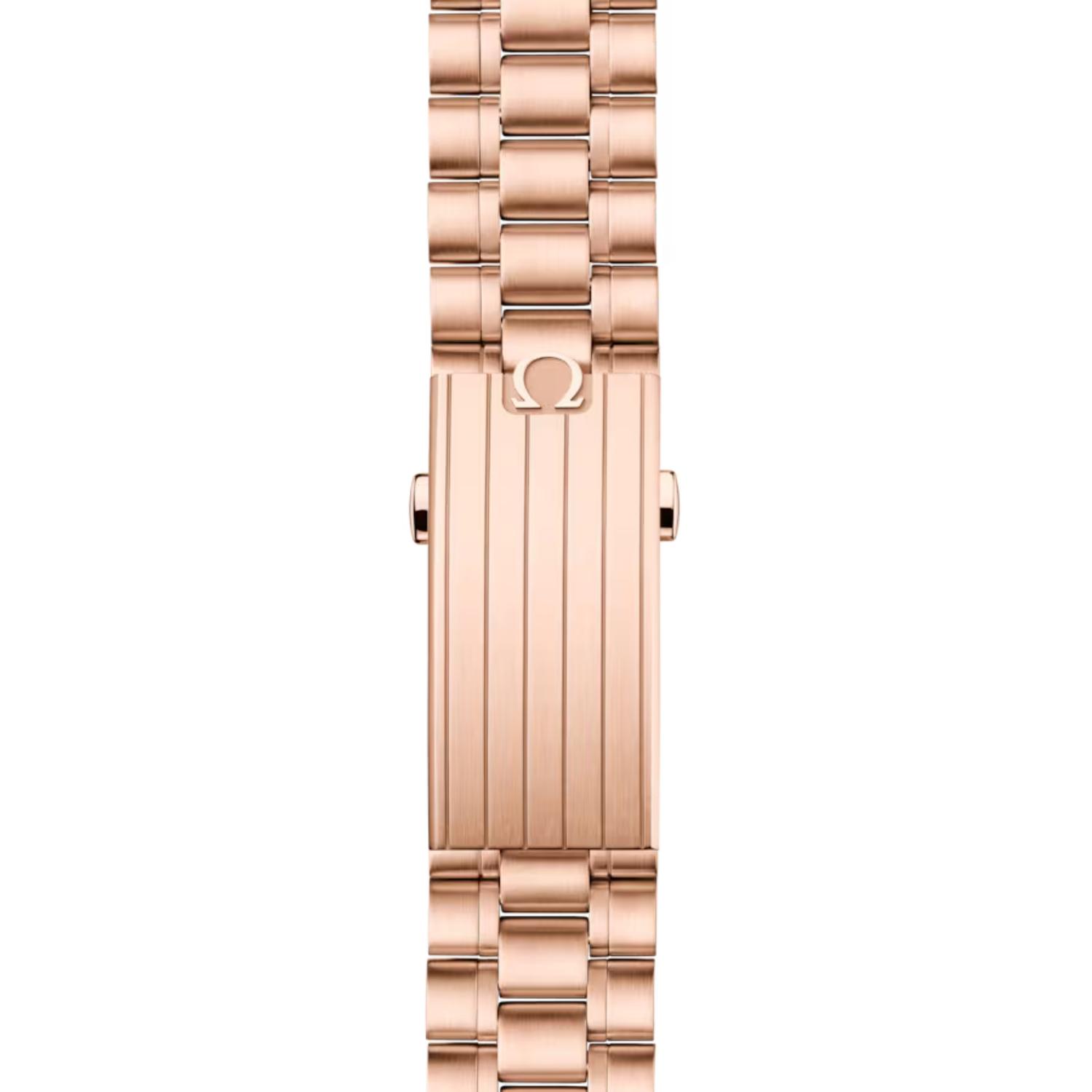 Speedmaster Moonwatch Professional