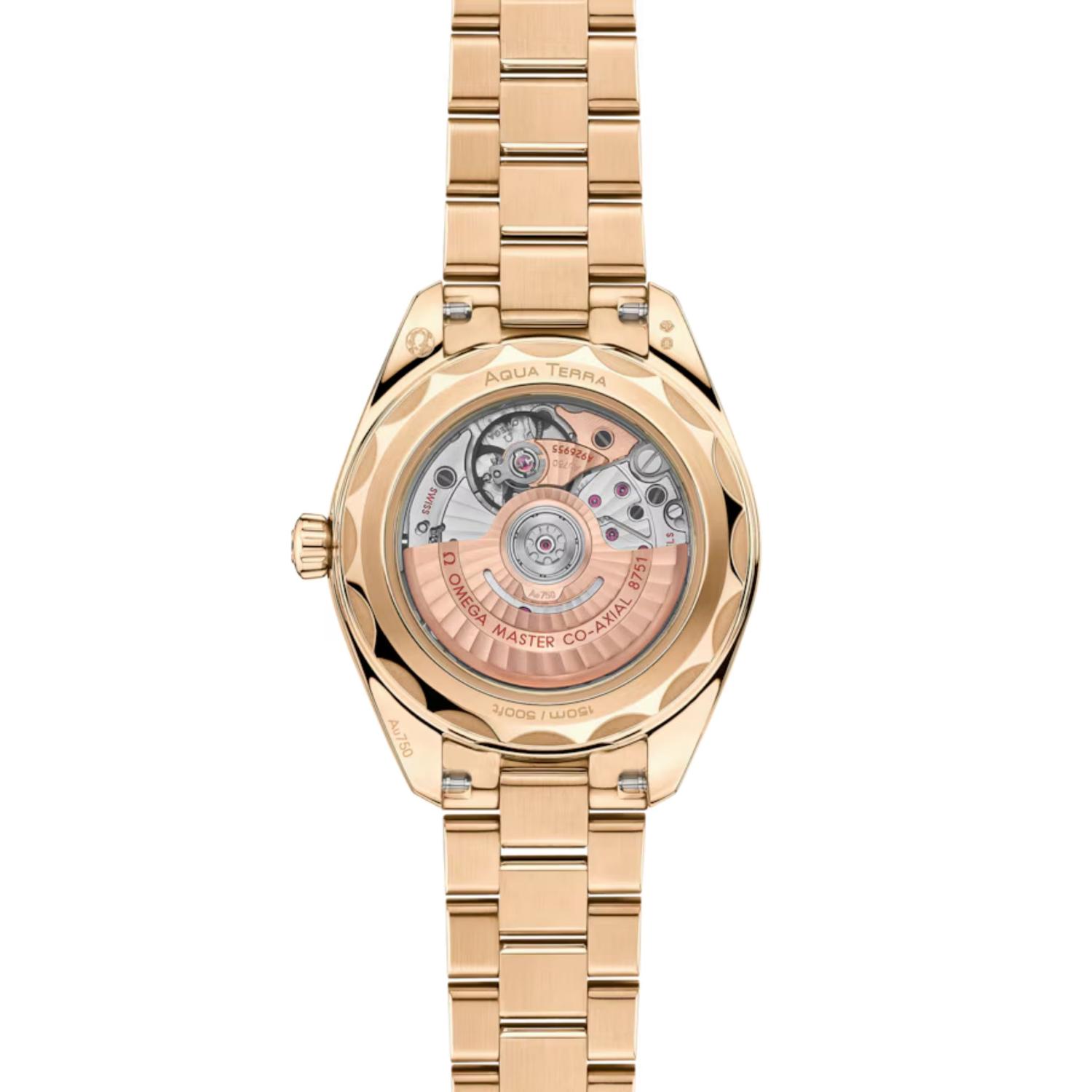 Seamaster Aqua Terra 150M