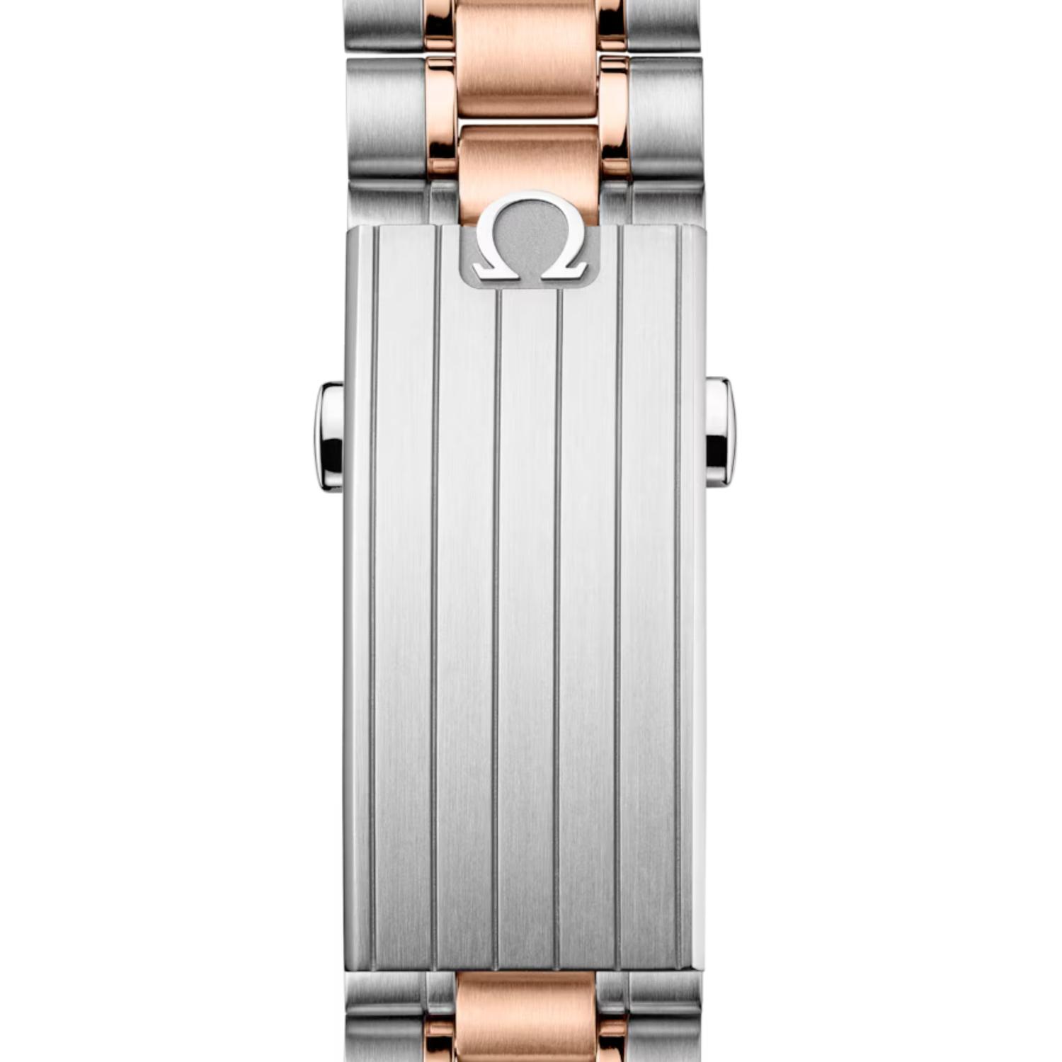 Speedmaster Moonwatch Professional