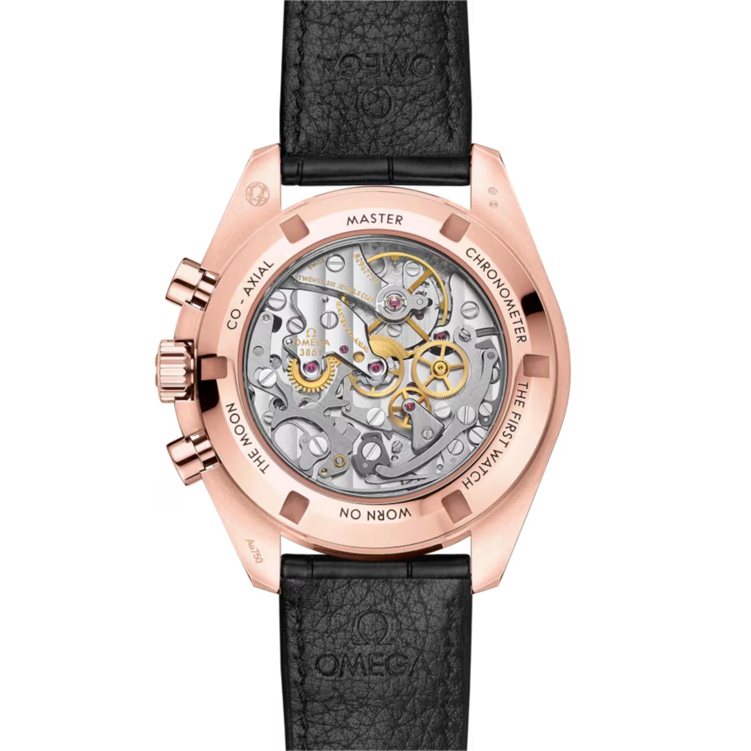 Speedmaster Moonwatch Professional