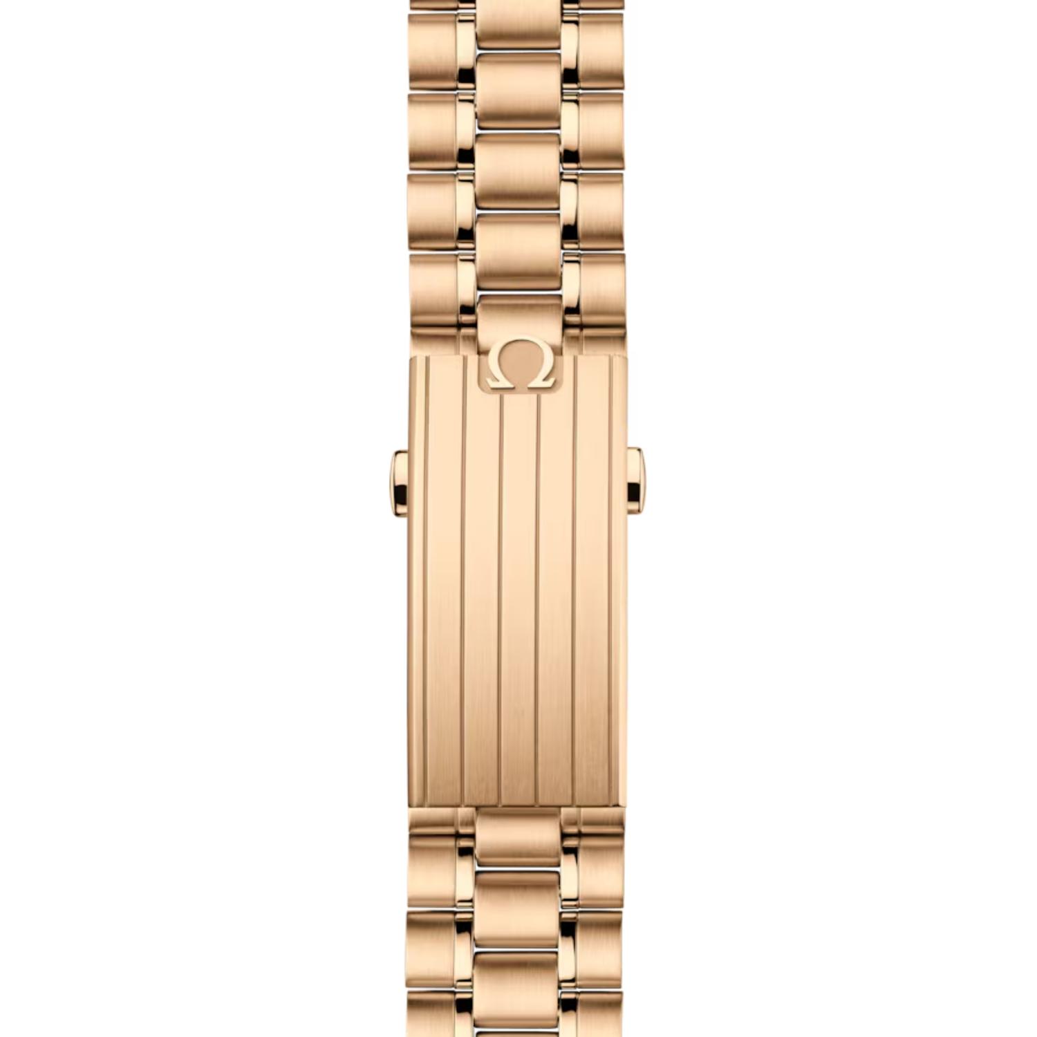 Speedmaster Moonwatch Professional