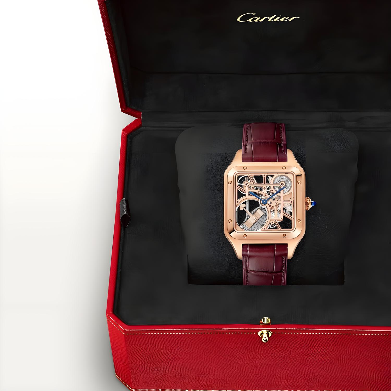 Santos-Dumont Micro-Rotor Skeleton