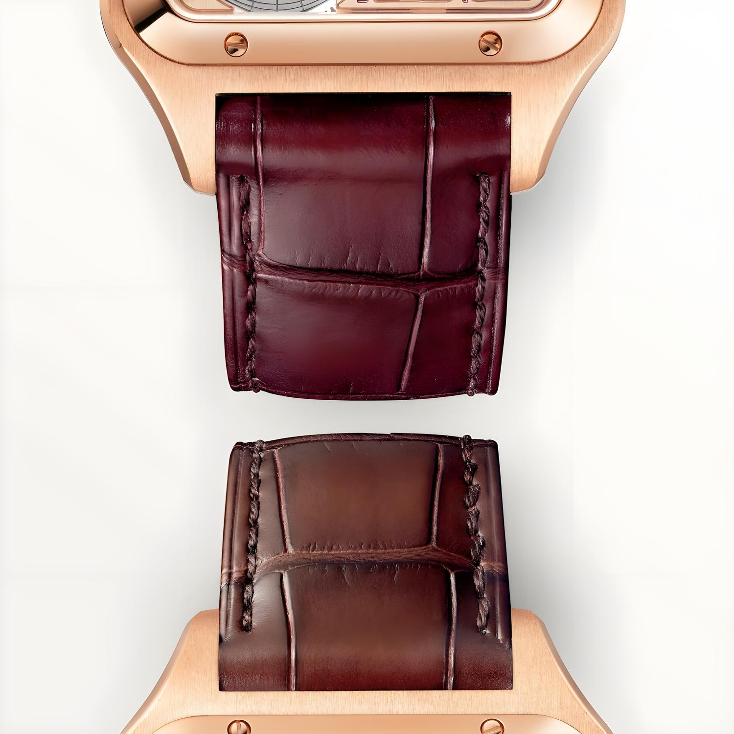 Santos-Dumont Micro-Rotor Skeleton