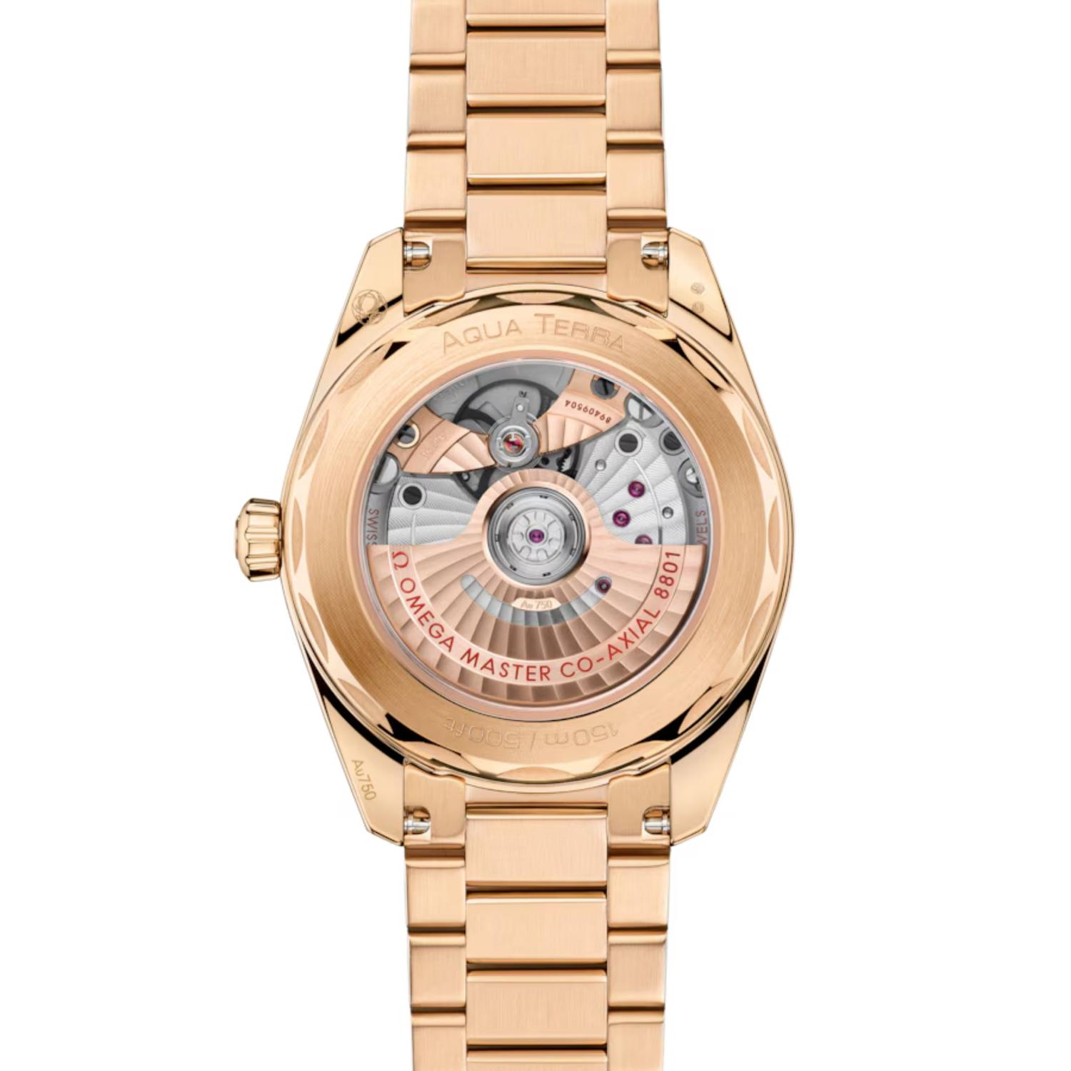 Seamaster Aqua Terra 150M