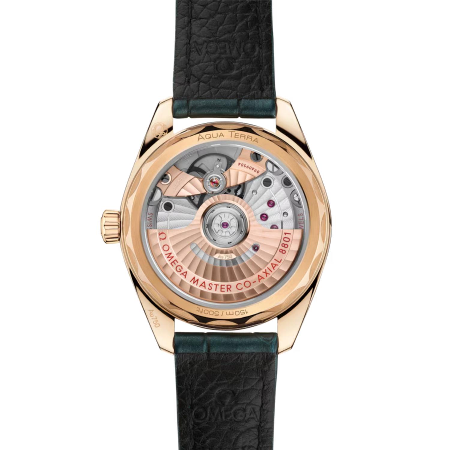 Seamaster Aqua Terra Shades