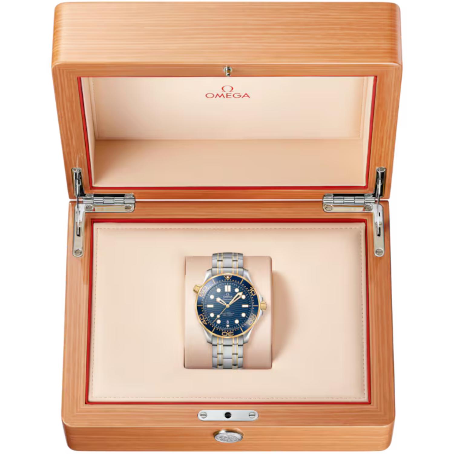 Seamaster Diver 300M