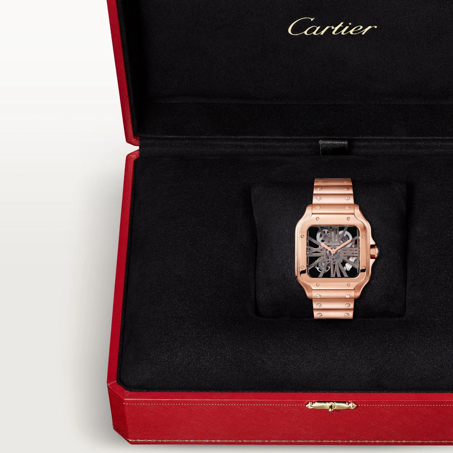 Santos de Cartier Skeleton