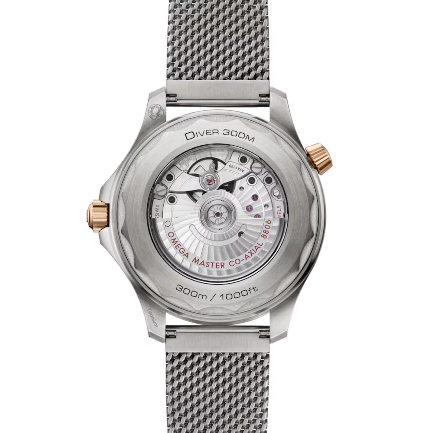 Seamaster Diver 300M