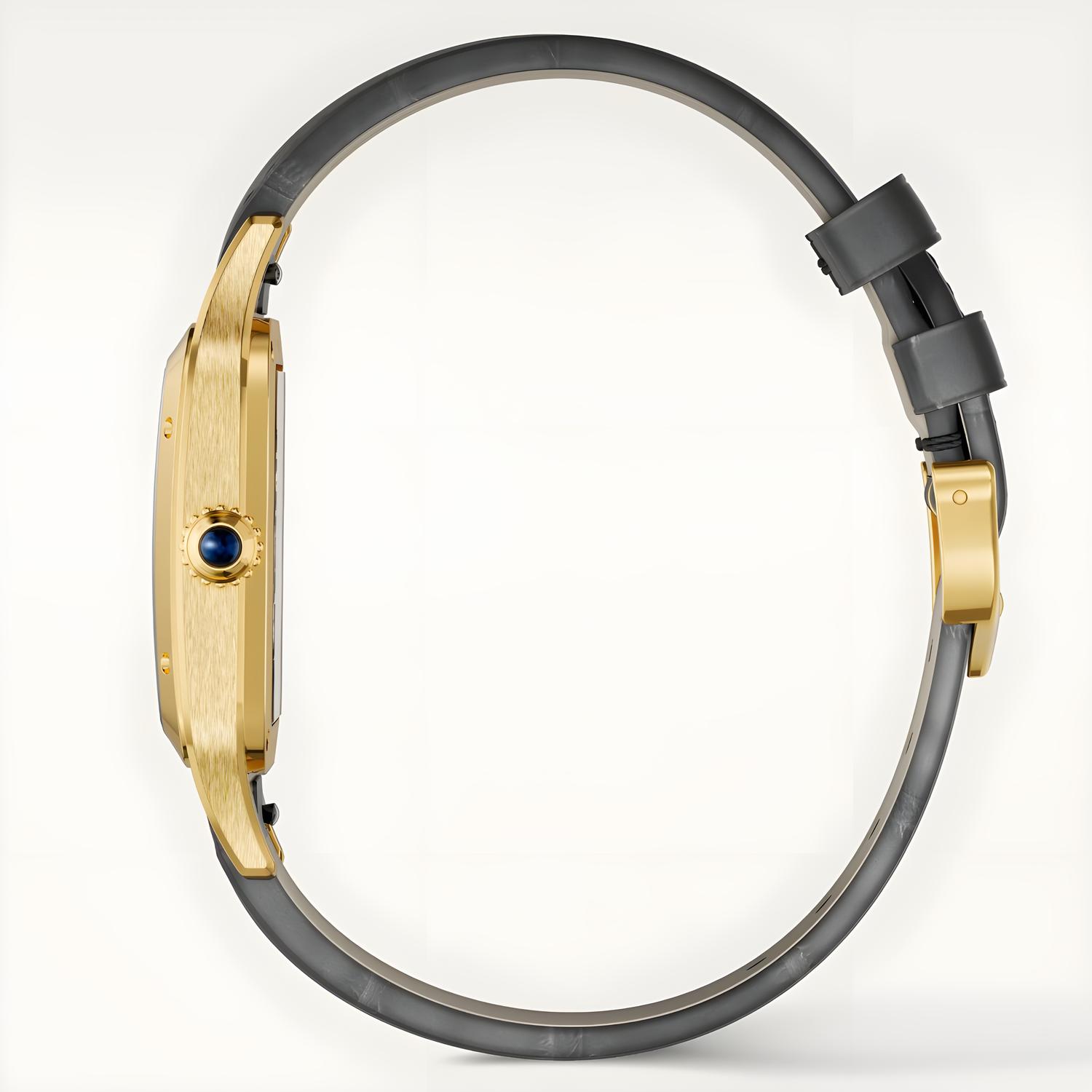 Santos-Dumont Micro-Rotor Skeleton