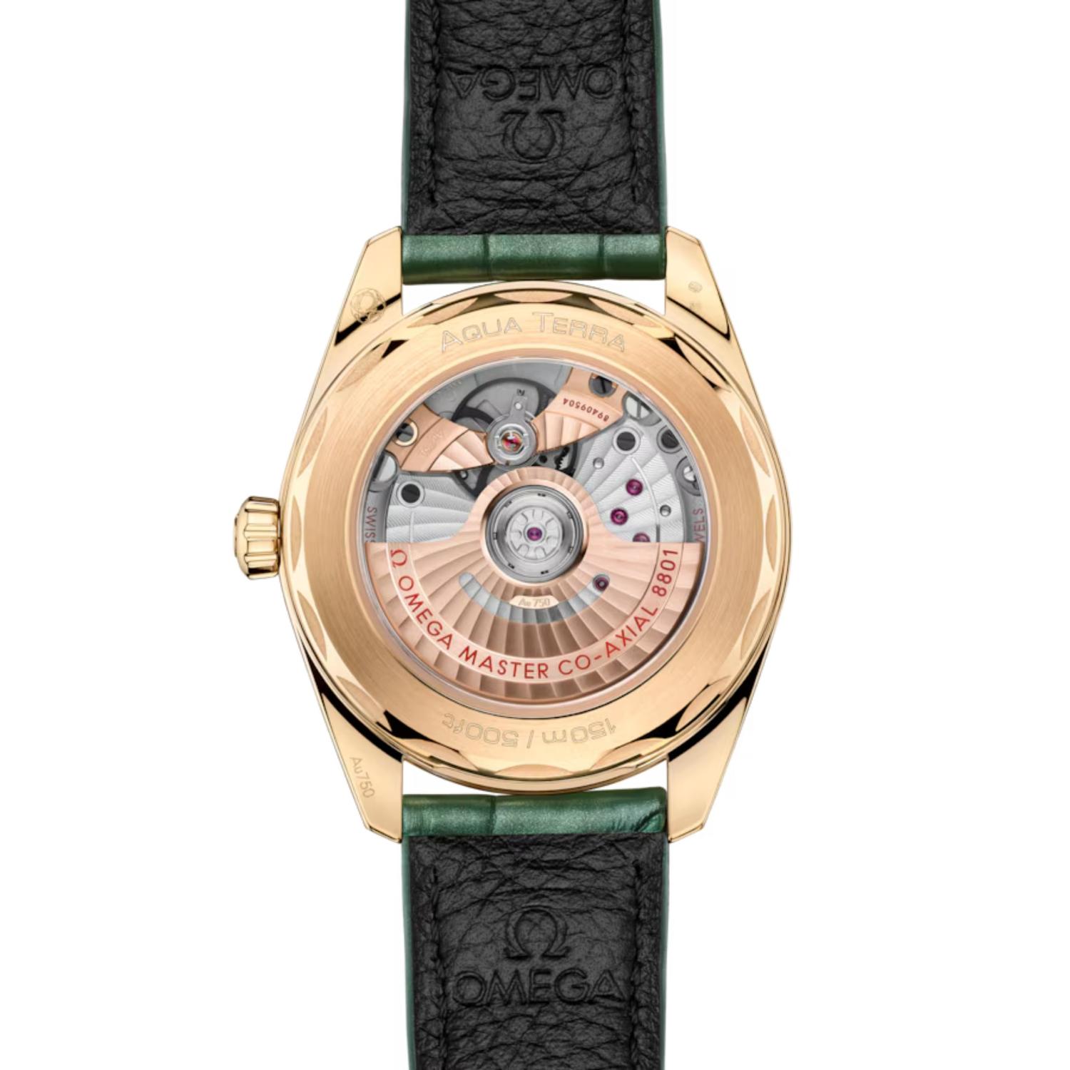 Seamaster Aqua Terra Shades