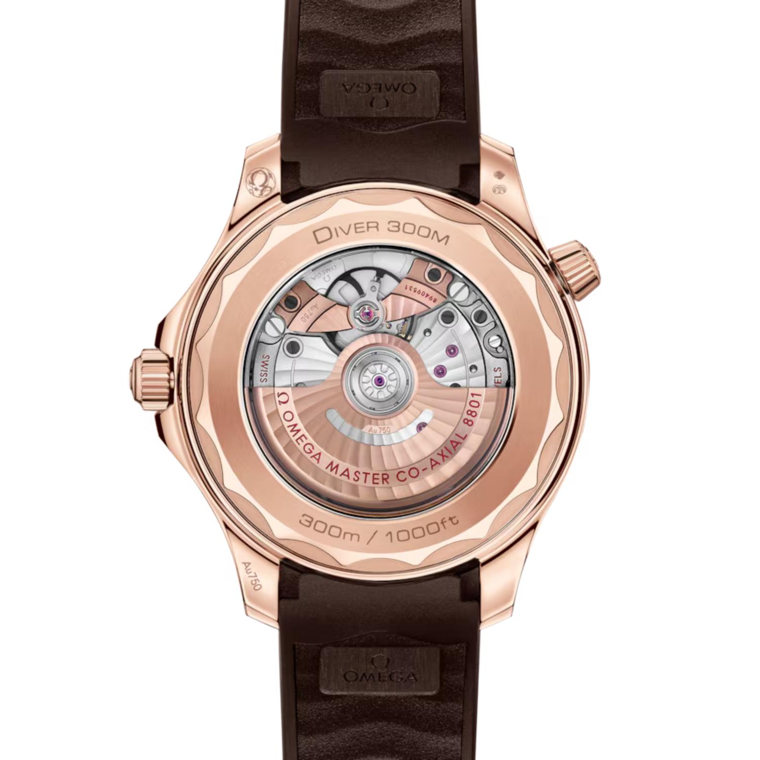 Seamaster Diver 300M