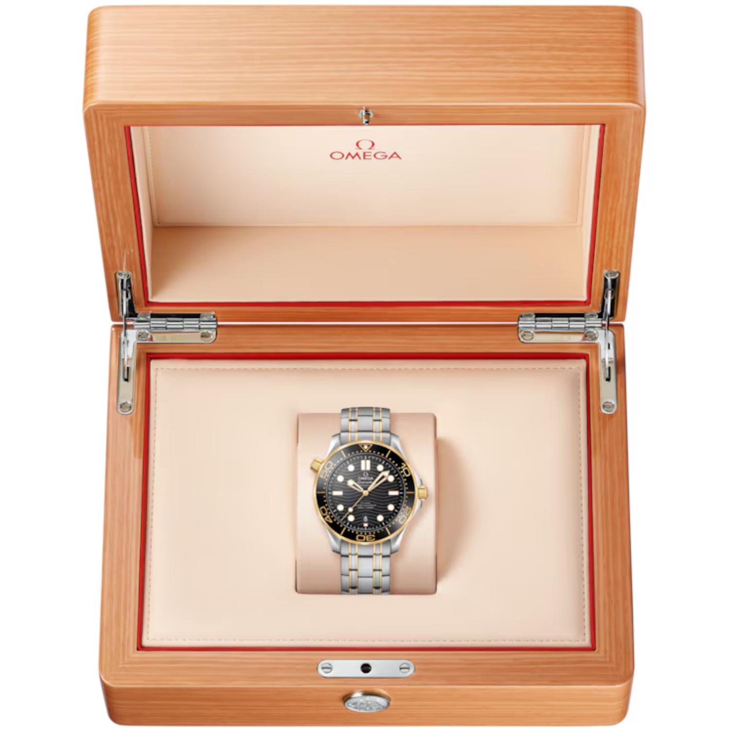 Seamaster Diver 300M