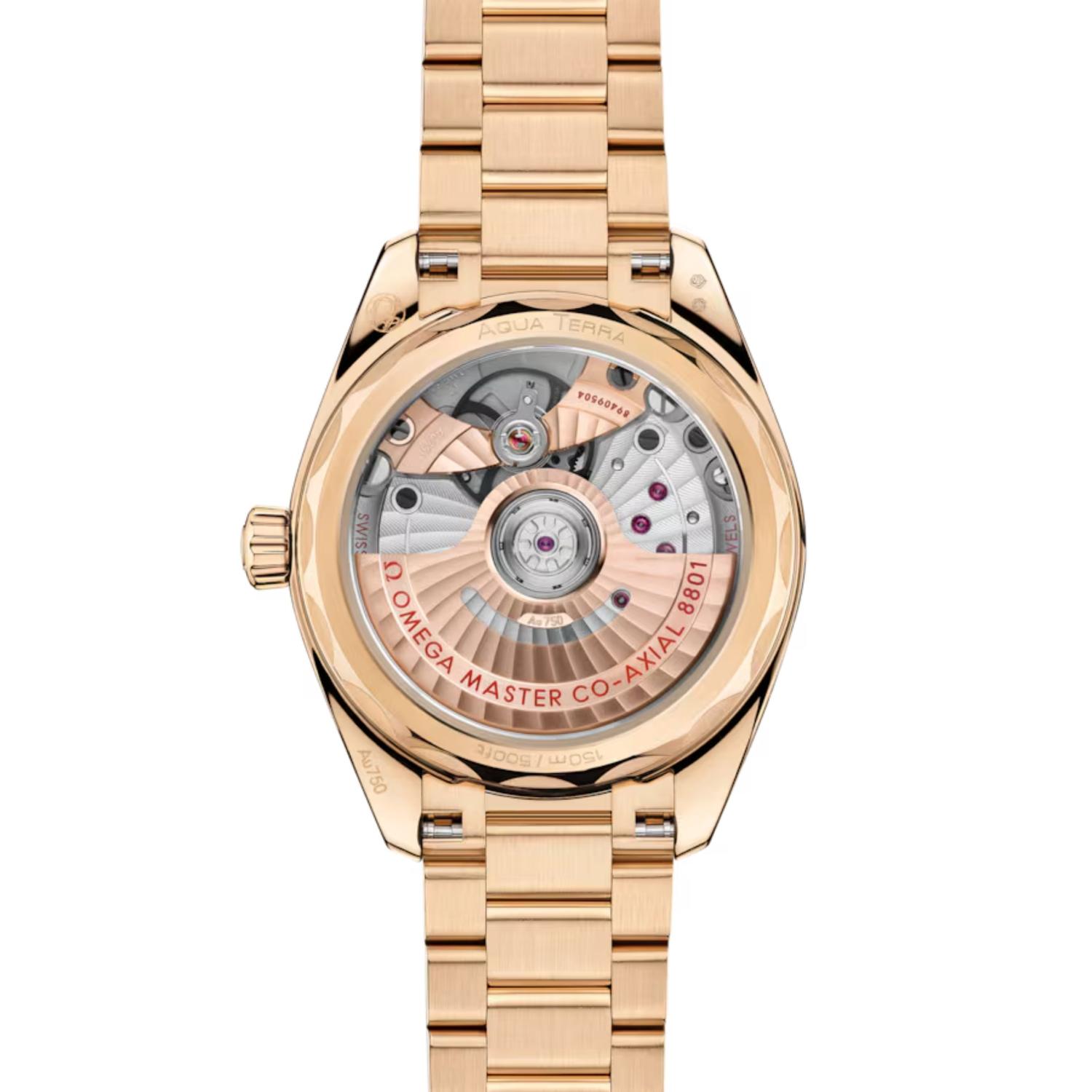 Seamaster Aqua Terra Shades