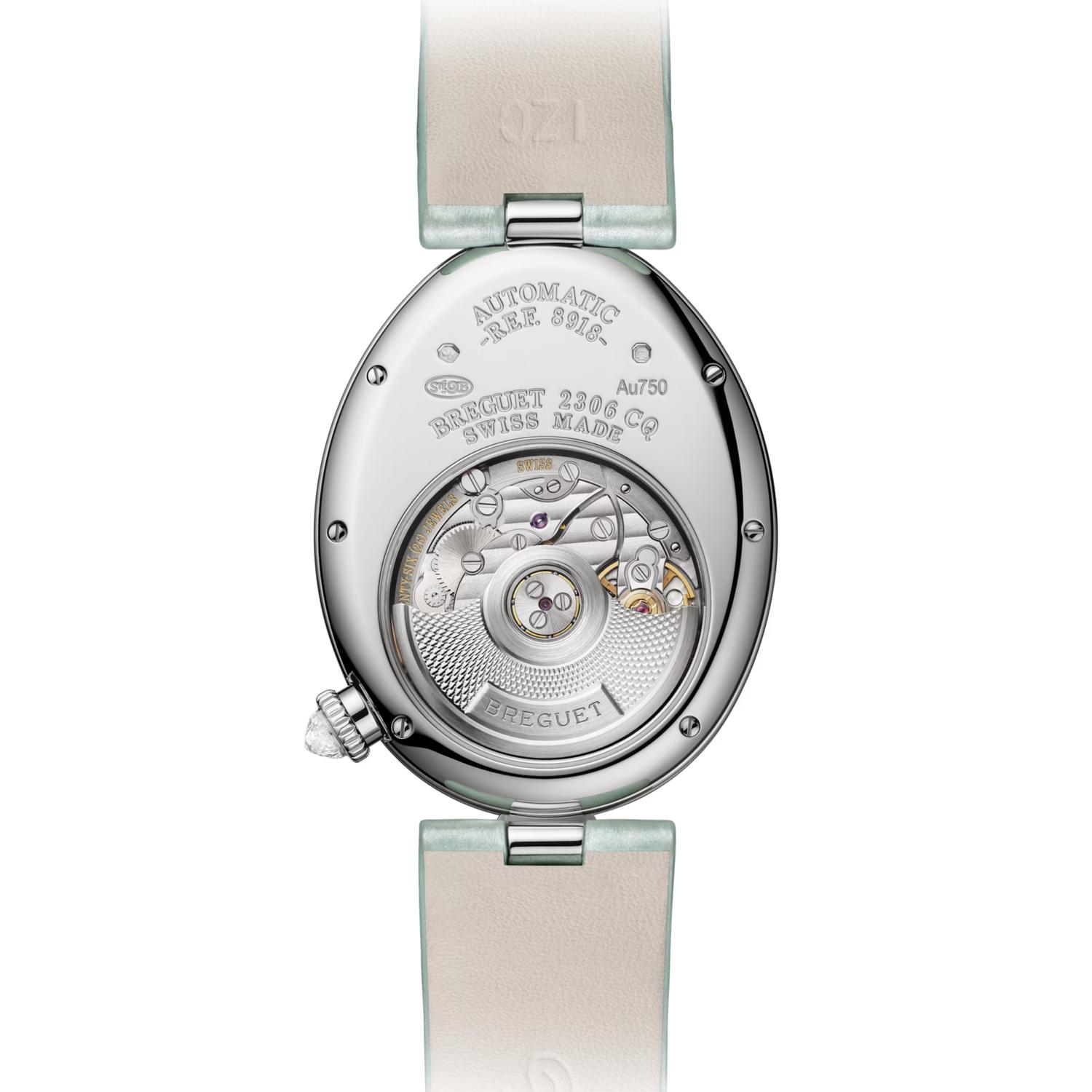 Reine de Naples 8918