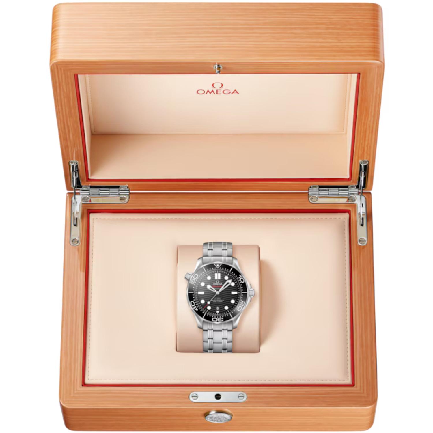 Seamaster Diver 300M