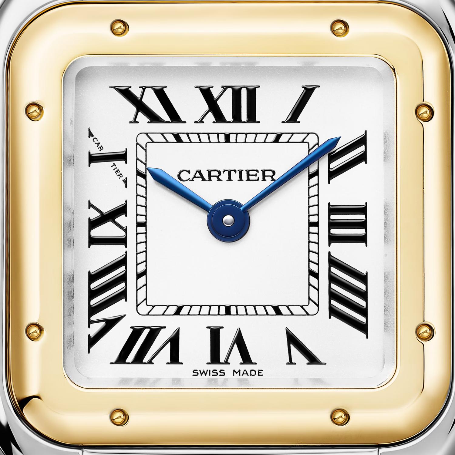 Panthère de Cartier