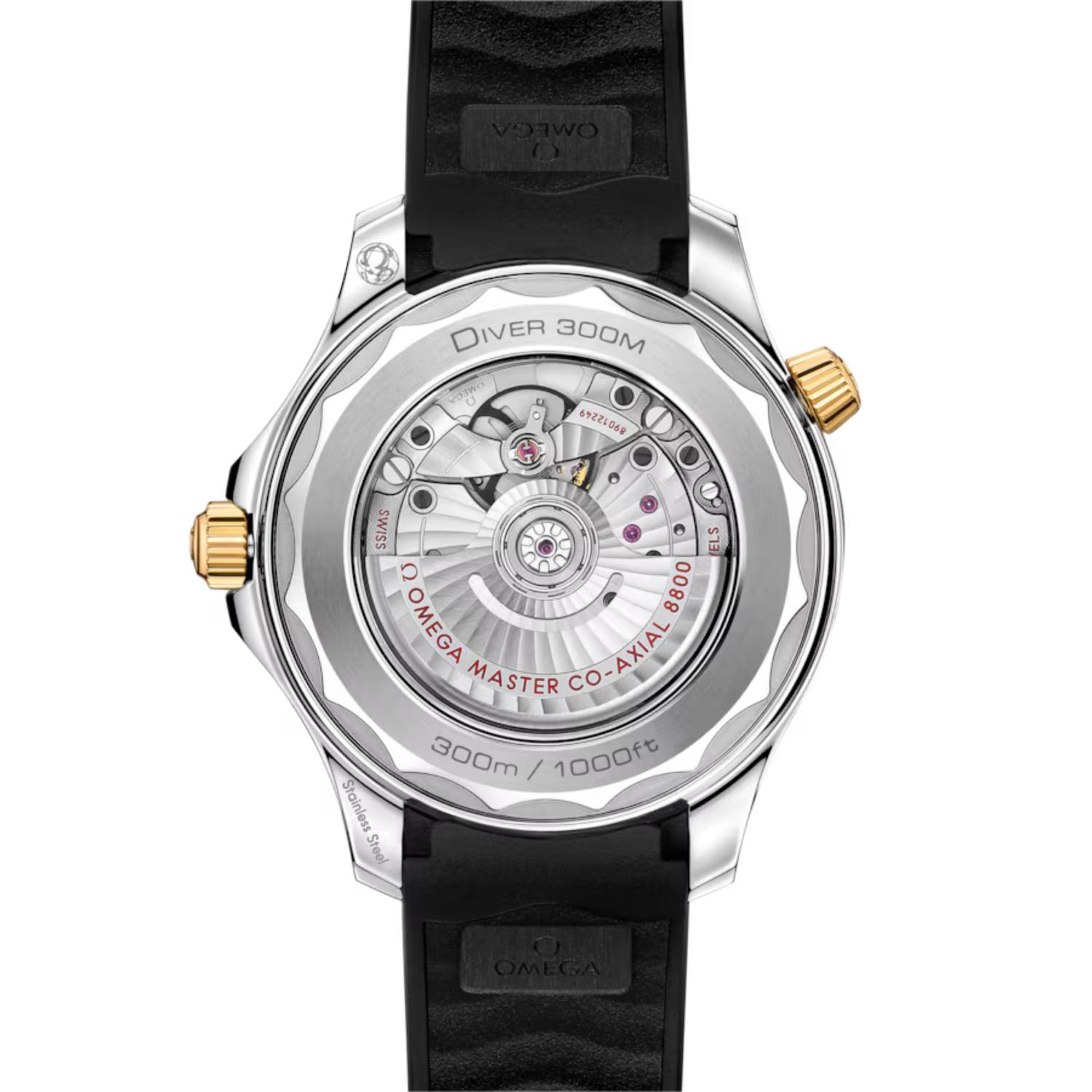 Seamaster Diver 300M