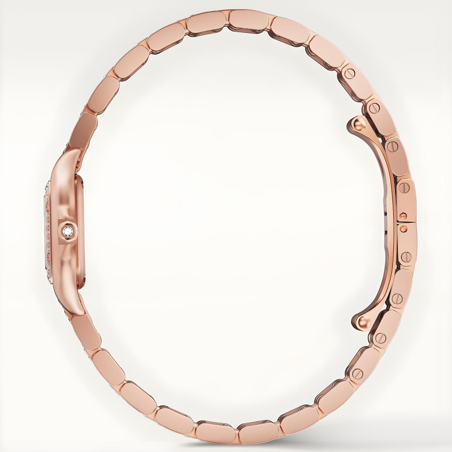 Panthère de Cartier