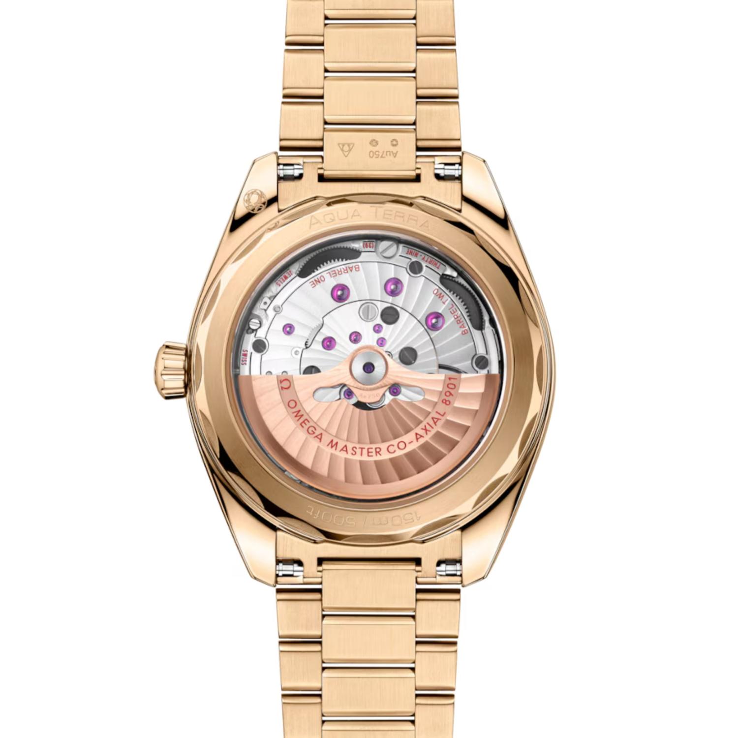 Seamaster Aqua Terra 150M