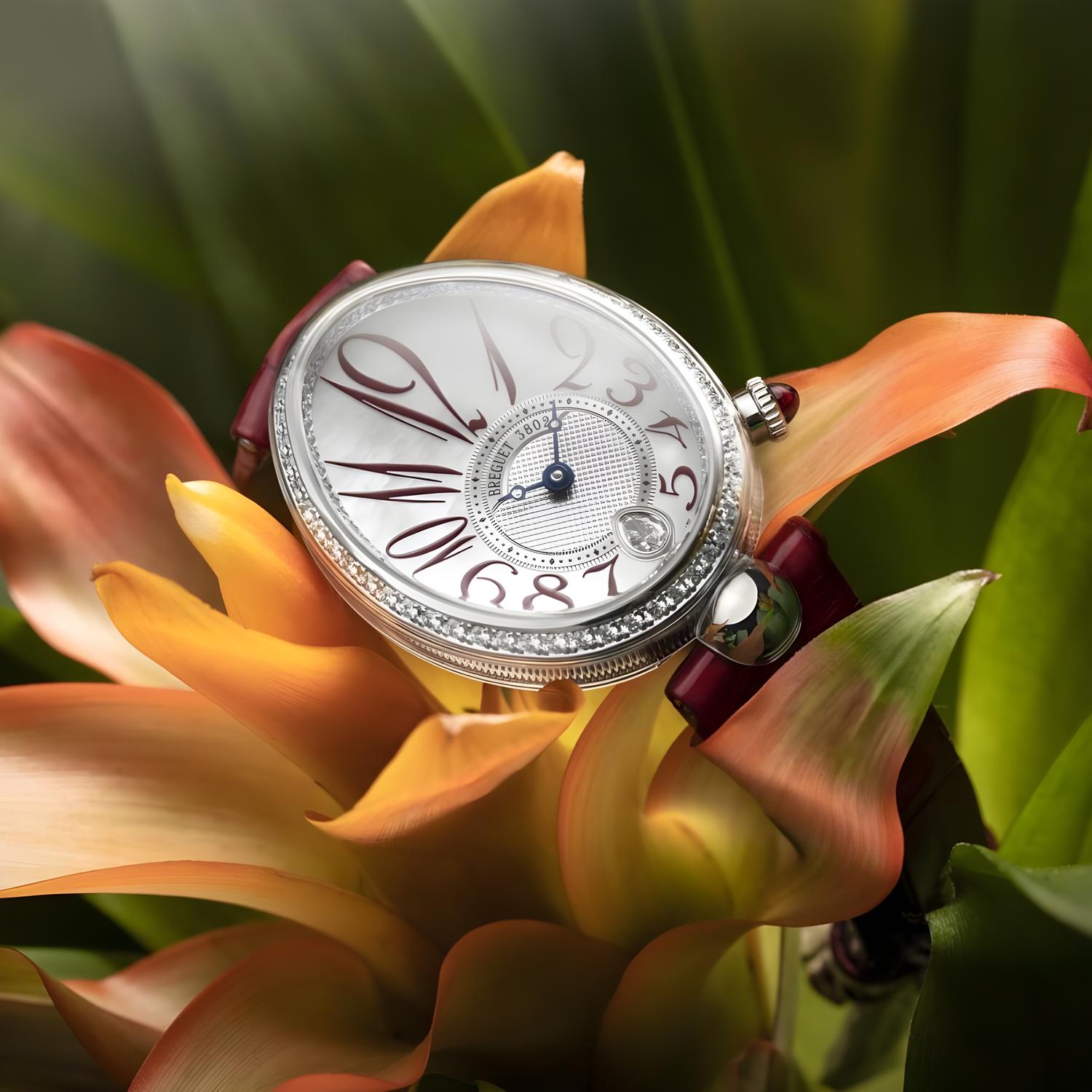 Reine de Naples 8918