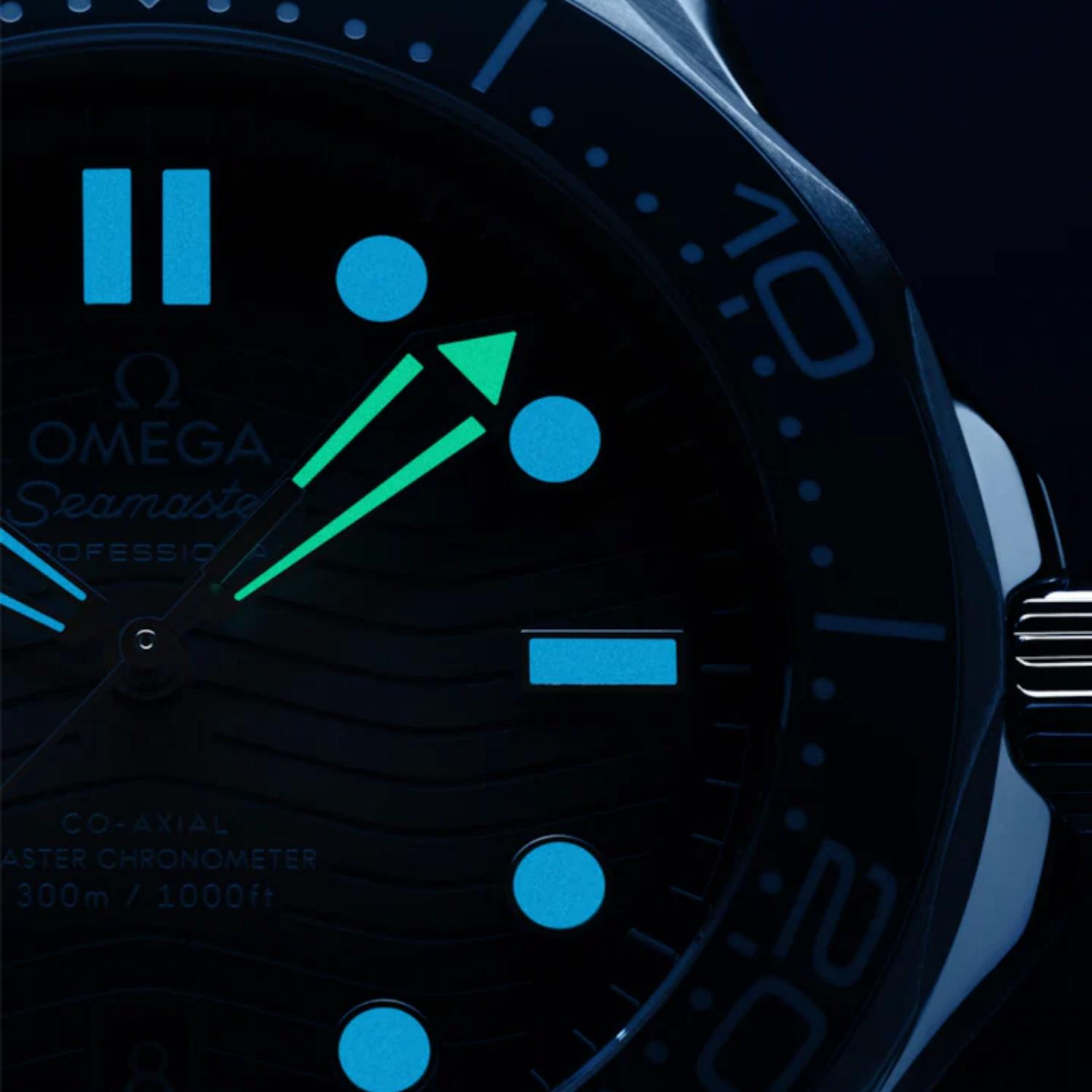 Seamaster Diver 300M