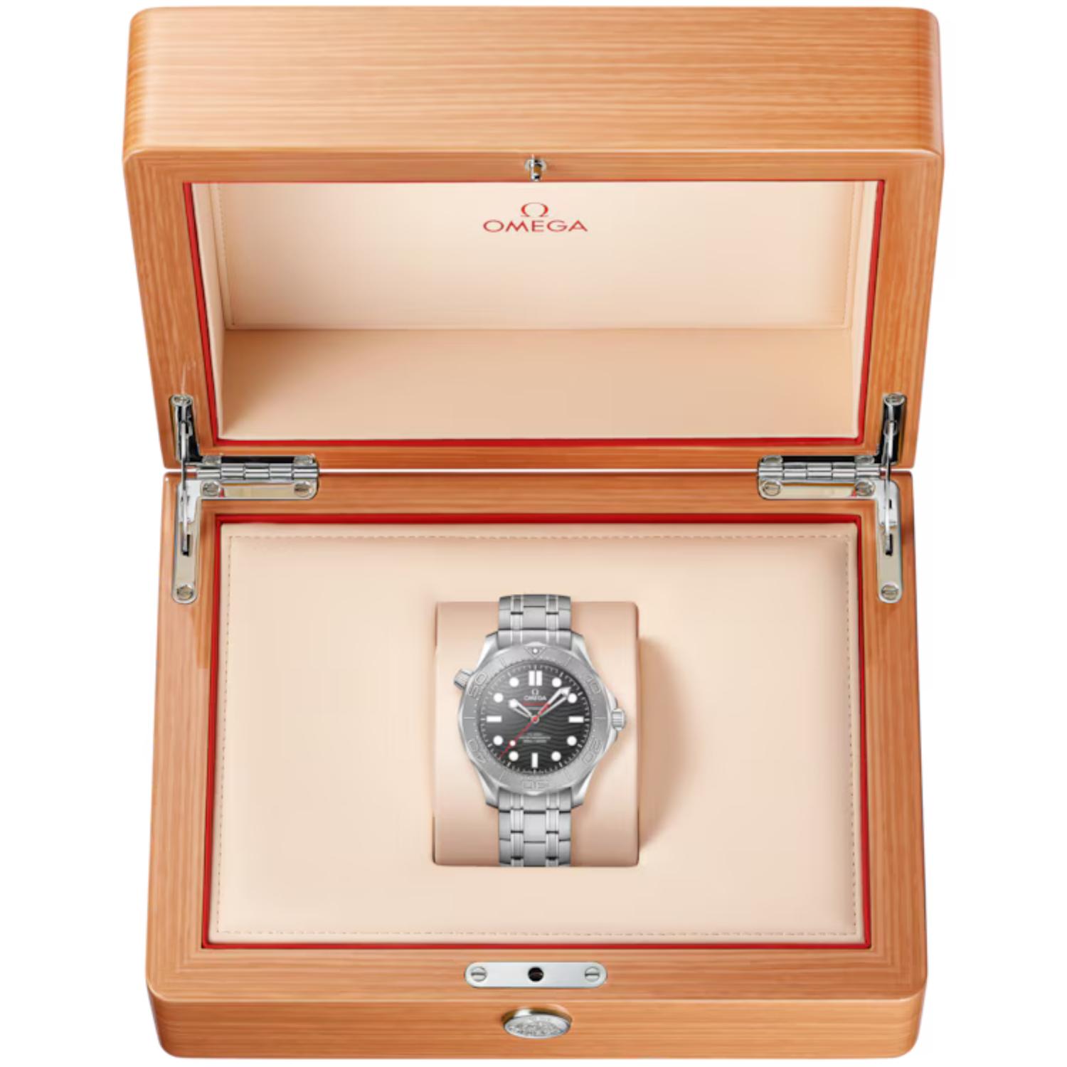 Seamaster Diver 300M