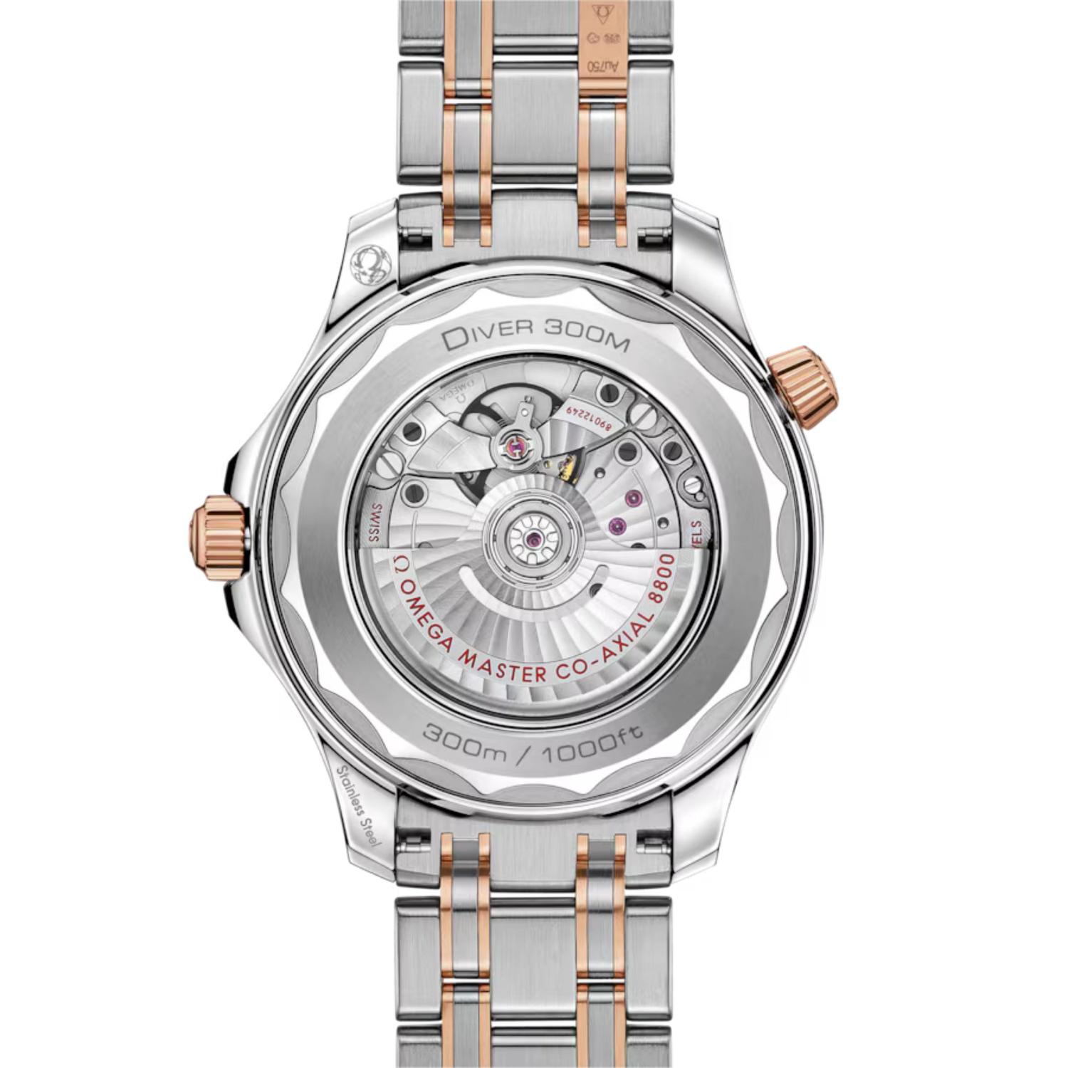 Seamaster Diver 300M