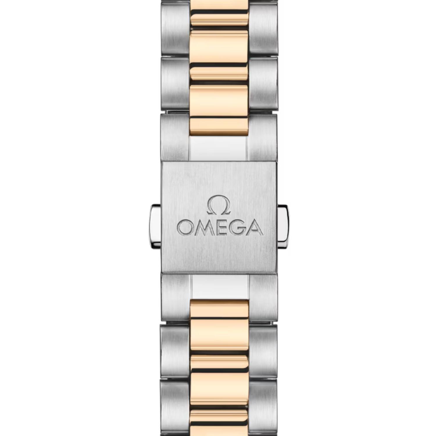 Seamaster Aqua Terra 150M
