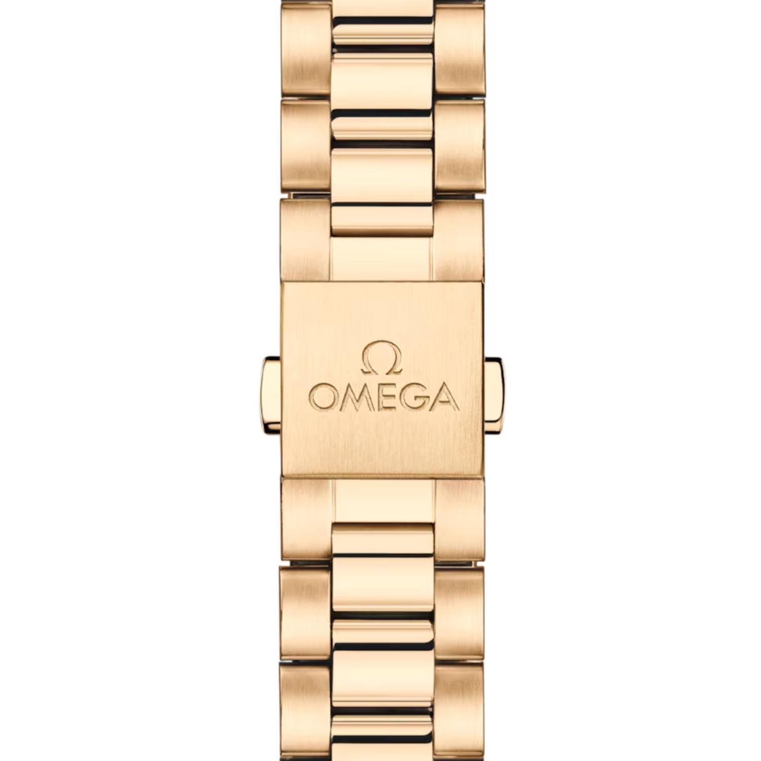 Seamaster Aqua Terra Shades