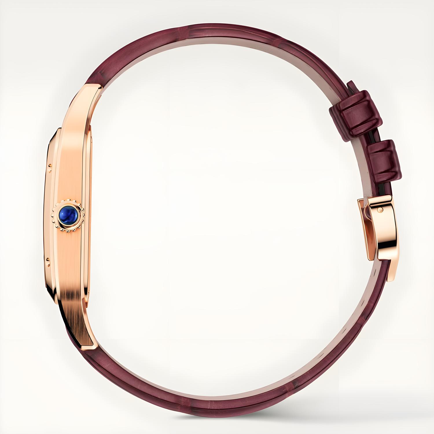 Santos-Dumont Micro-Rotor Skeleton