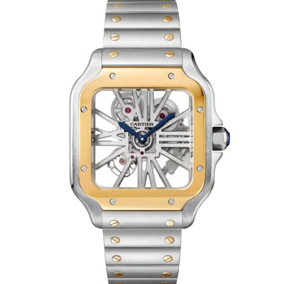 Santos de Cartier Skeleton