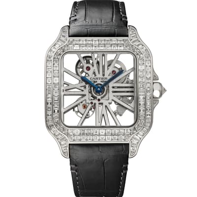 Santos de Cartier