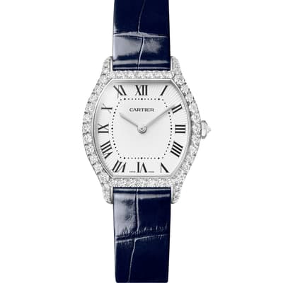 Tortue