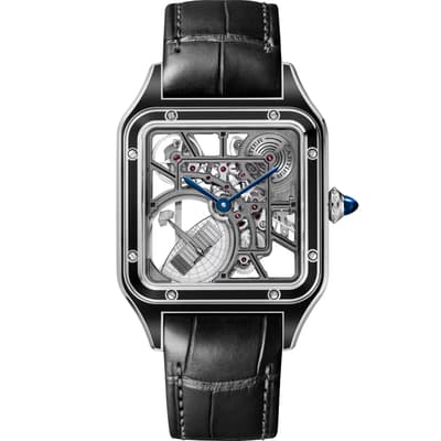 Santos-Dumont Micro-Rotor Skeleton