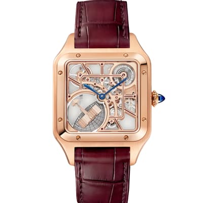 Santos-Dumont Micro-Rotor Skeleton