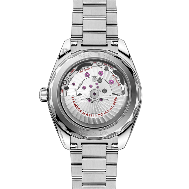 Seamaster Aqua Terra 150M 41 mm