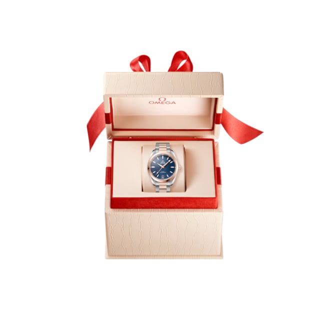 Seamaster Aqua Terra 150M