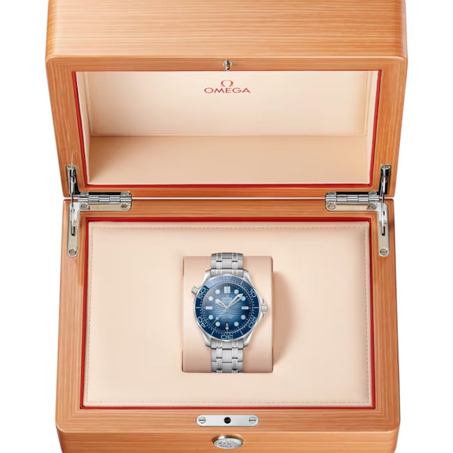 Seamaster Diver 300M