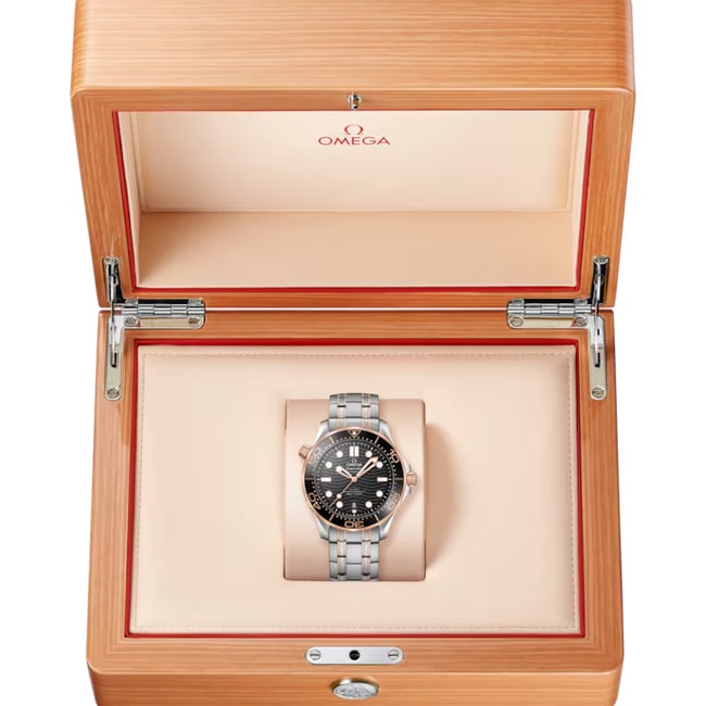 Seamaster Diver 300M