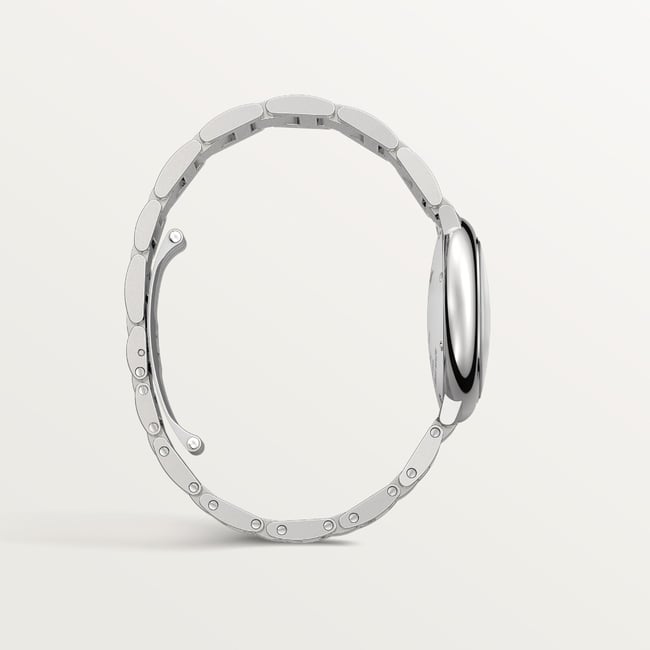 Ballon Bleu de Cartier