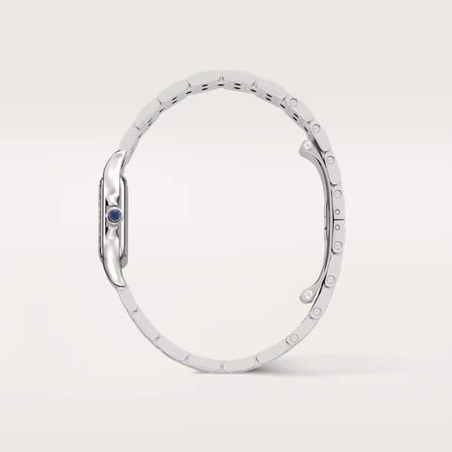 Panthère de Cartier