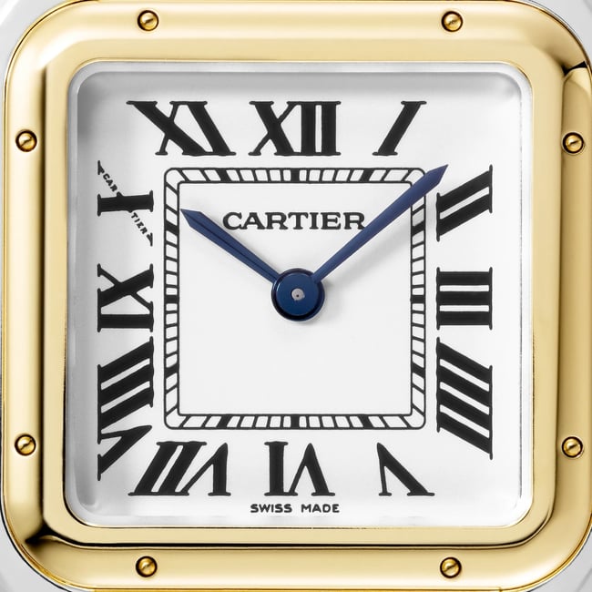 Panthère de Cartier