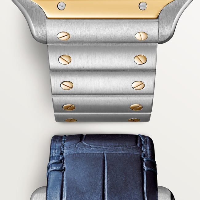 Santos de Cartier Skeleton
